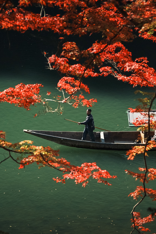 紅楓行舟